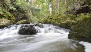 Czech Gothic Trail - Gallery